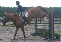 horse in ideal landing position after jumping